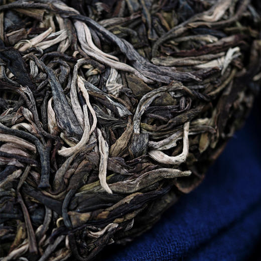 【猎户座】2022年天门山茶王地鼎级纯料之巅Z接近茶王树口感普洱茶生茶云南易武I类高杆古树357g/饼 商品图5