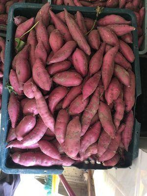 【大鹏专属】海南桥头富硒地瓜5斤装板栗黄心红薯 商品图2