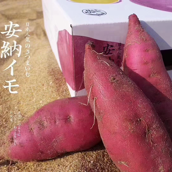 安耐芋地瓜来~地瓜界的实力派idol 日本品种，安纳芋，代餐神器这个地瓜非常好吃，不会很干甜甜糯糯的口感特别适合小孩子和老人吃~吃过的都知道这个地瓜[呲牙][呲牙]好吃