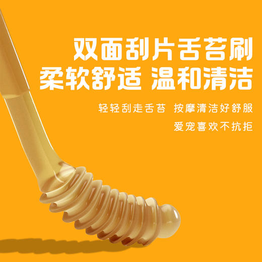 宠物硅胶牙刷2支盒装 两种刷头 狗狗猫咪口腔护理用品 厂家直供 商品图3