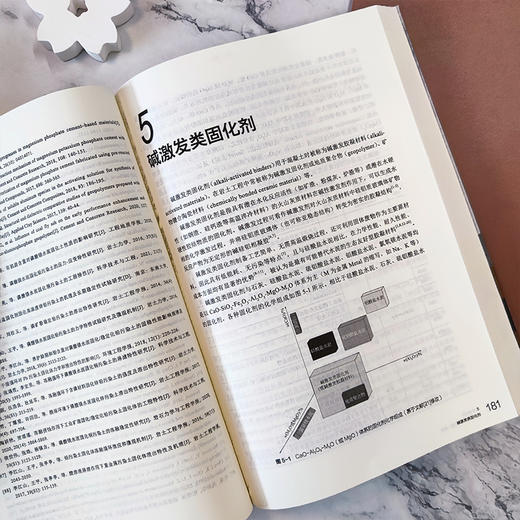 土体固化剂——材料·作用机理·应用 商品图4