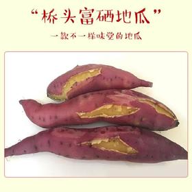 【大鹏专属】海南桥头富硒地瓜5斤装板栗黄心红薯