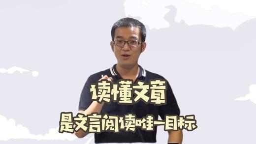 读懂文章，是文言阅读的唯一目标 商品图0