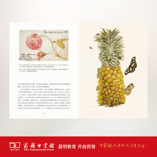 伟大的博物学家 商品图4