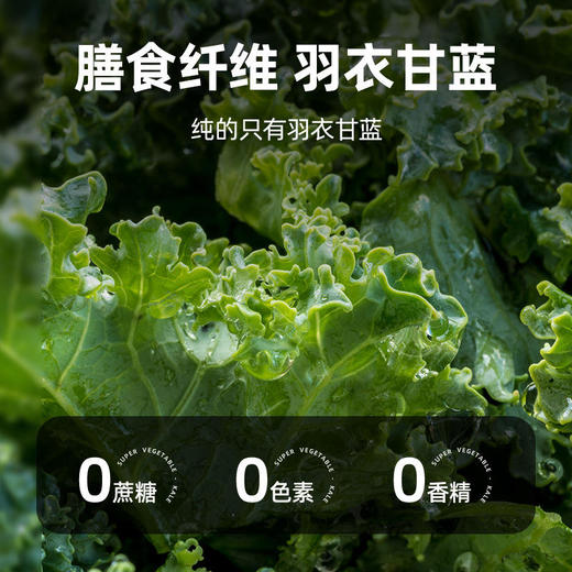 【大鹏专属】羽衣甘蓝粉蔬菜粉蔬汁膳食纤维150g 商品图2