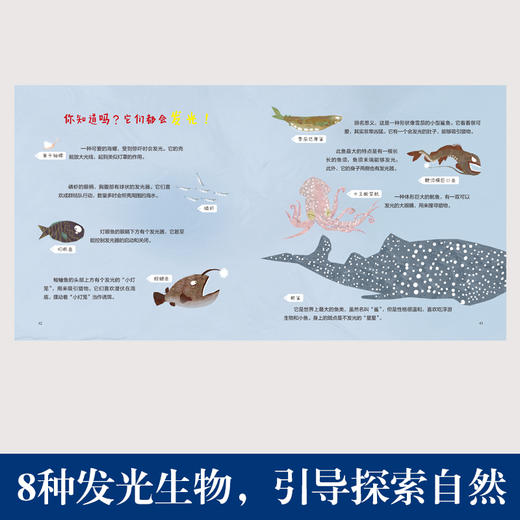 小鱼的星星（精装） 商品图3