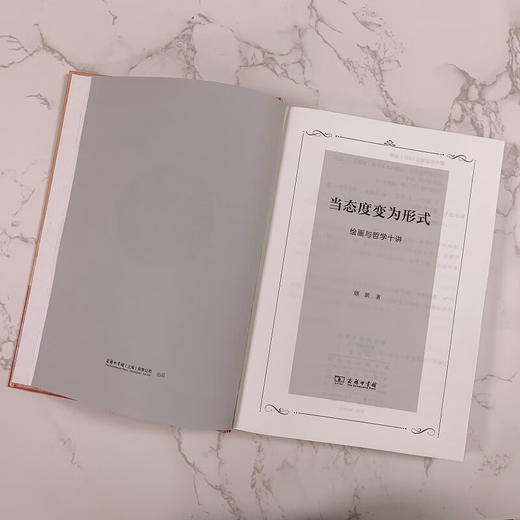 当态度变为形式——绘画与哲学十讲 顾跃 著 商务印书馆 商品图2