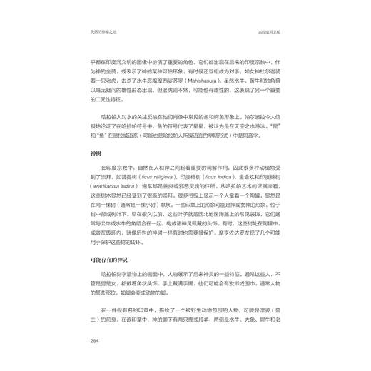 失落的神秘之地：古印度河文明/世界古文明译丛/浙江大学出版社/简·R.麦金托什、陈明辉、林森/责编:丁佳雯/朱梦琳 商品图1