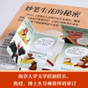 【神奇麻麻】揭秘华夏第二辑（乐乐趣揭秘翻翻书系列）揭秘四大名著 揭秘西游记 商品缩略图4