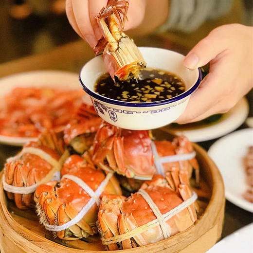 【活蟹现发】阳澄湖大闸蟹鲜活水产，金秋好蟹礼盒装，肉质鲜嫩，鲜中带甜，肥到流油 商品图0