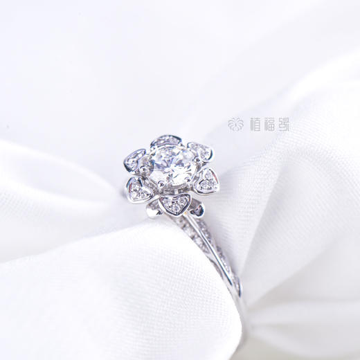 【聚爱】钻戒-JZ12201082 商品图6