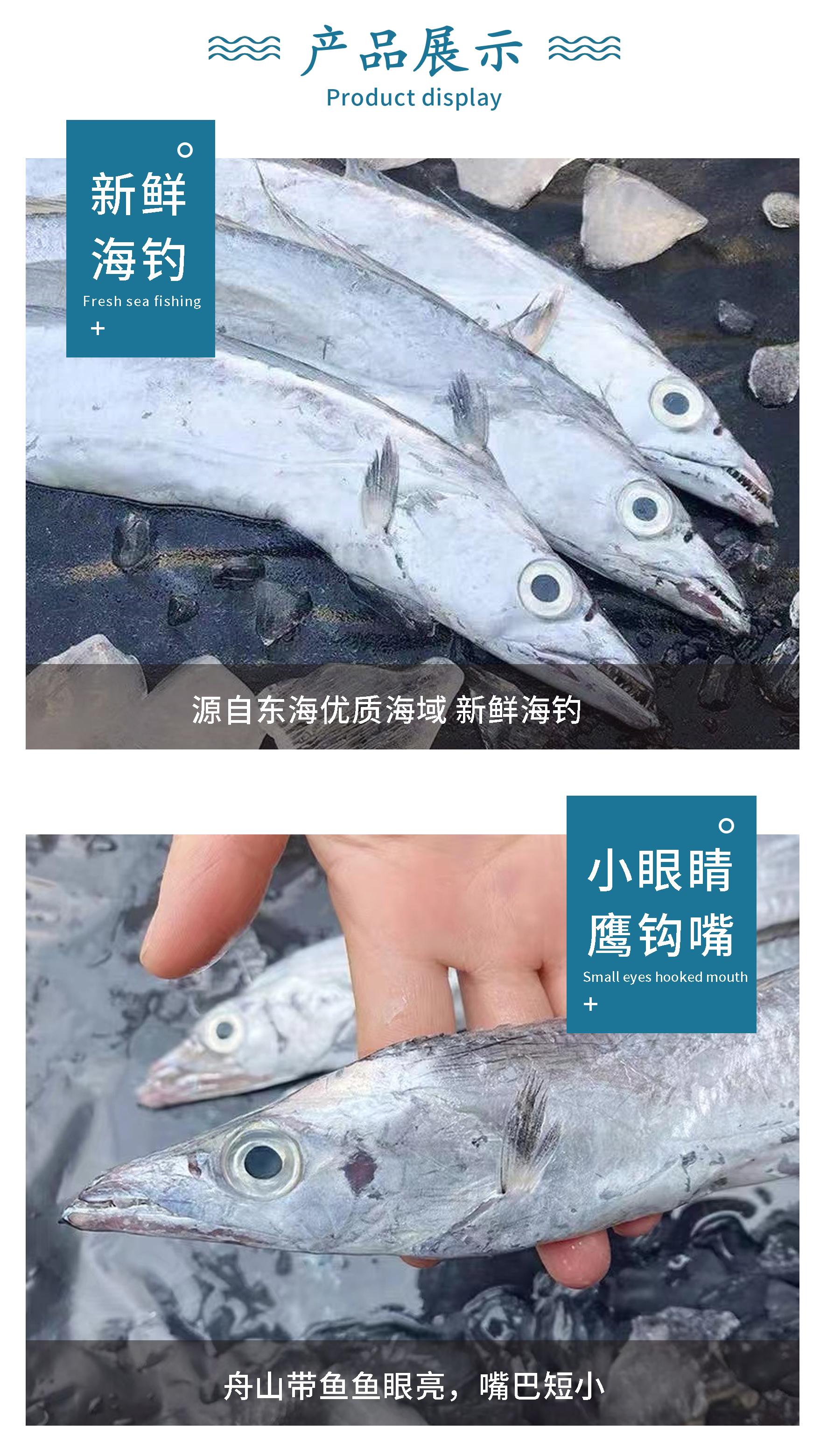 舟山野生海钓带鱼家庭装3斤(6-8两/条)偶有破肚,介意勿拍