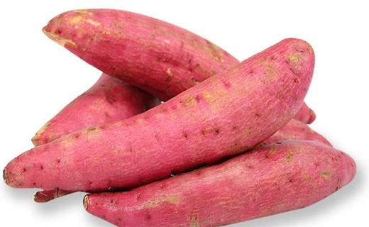蜜薯480g-520g 商品图3