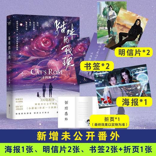 猫咪的玫瑰 一十四洲星际末世力作 晋江文学青春都市小说实体书籍 商品图0