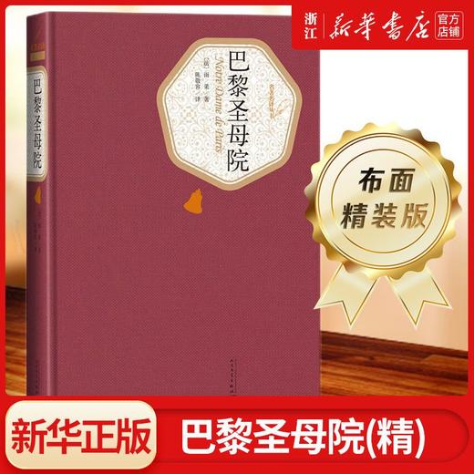 巴黎圣母院(精)/名著名译丛书 学生版高中生世界文学经典名著小说 商品图0