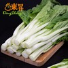 东升农场 秋香苔 白菜心 菜心新鲜 广东蔬菜300g 商品缩略图1