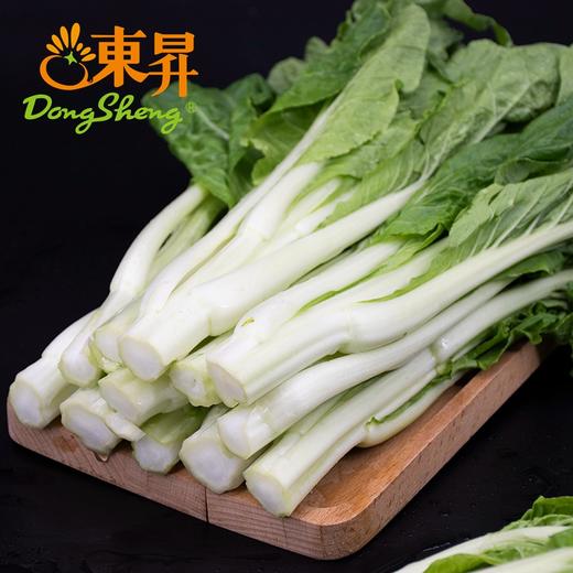 东升农场 秋香苔 白菜心 菜心新鲜 广东蔬菜300g 商品图1