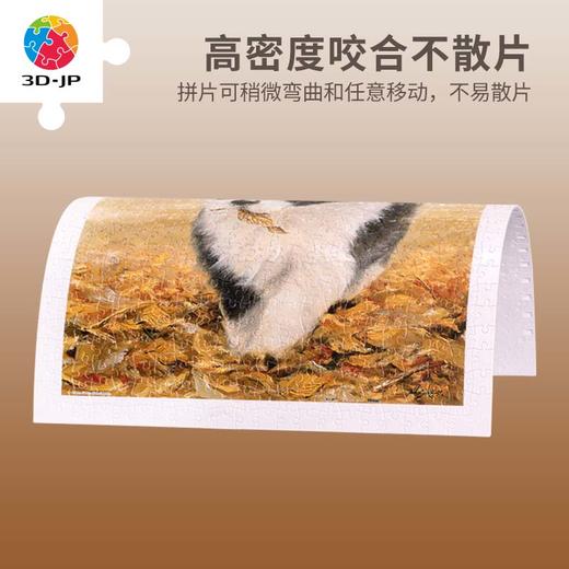 【折扣商品 不退不换】500片 平面拼图 塑料拼图H2802 John Silver-小淘气 商品图1