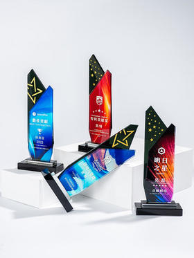 奖杯水晶定制高级彩色奖牌刻字先进企业销售优秀员工运动会纪念品