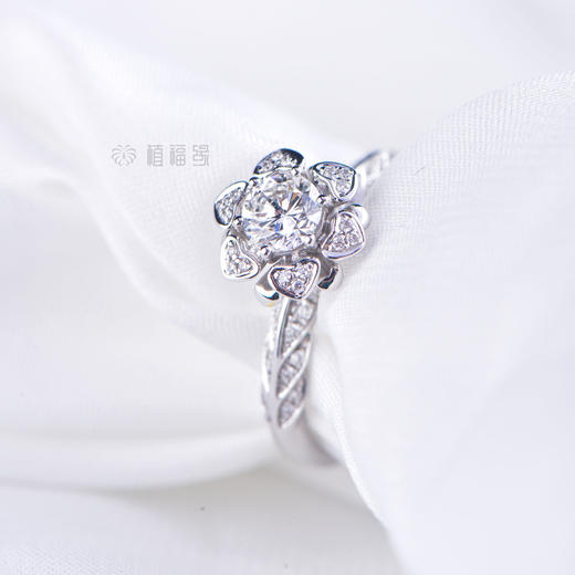 【聚爱】钻戒-JZ12201082 商品图7