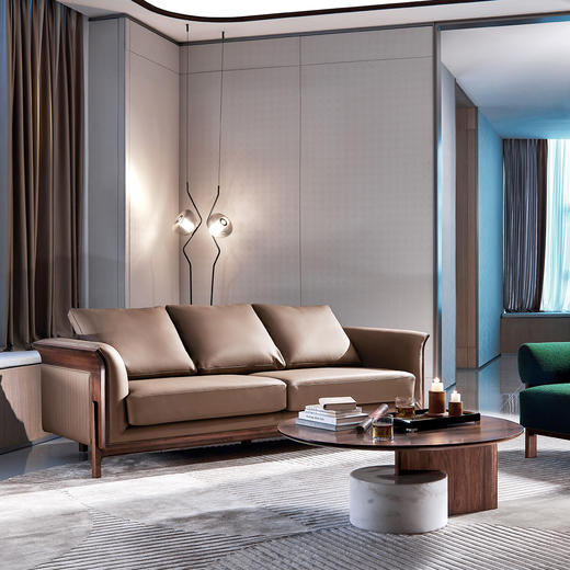 【现代风-CY203沙发】现代风/客厅北美黑胡桃/实木&真皮 2+3沙发 商品图1