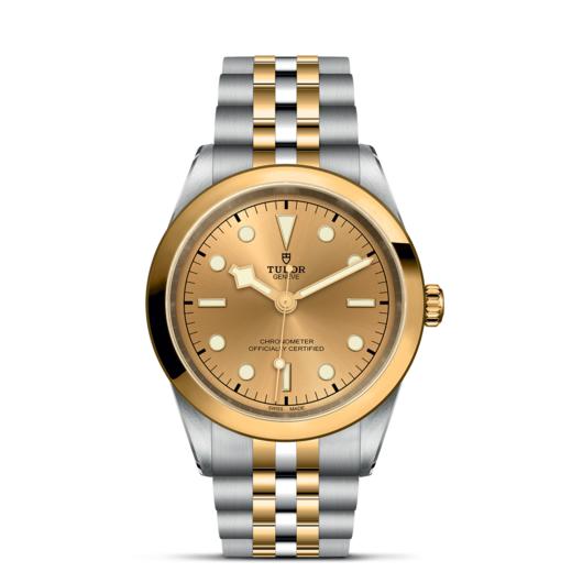 帝舵碧湾型41黄金钢款 | 帝舵表原厂机芯MT5601型（COSC）  钢表壳，直径41毫米  黄金及钢表带 商品图1