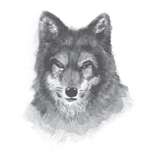 西顿动物记（夏洛书屋 经典版） 商品图2