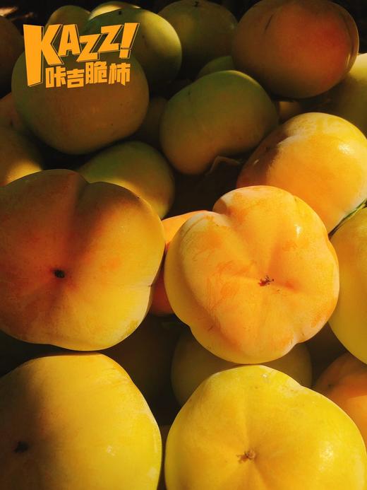 “嘎嘣”脆爽，香甜不涩！【咔吉脆柿】好吃不沾手 柿柿如意 好柿发生~ 商品图5