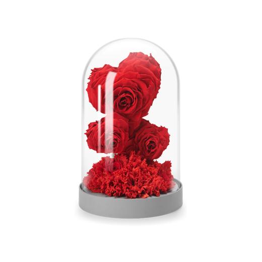 ROSEONLY诺誓  永生玫瑰 水晶之恋  幸福龙 幸福兔 幸福熊 玫瑰花玻璃钟罩礼盒 送女友爱人礼物 商品图1