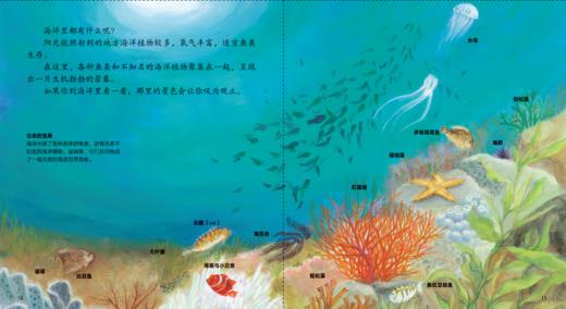 启明星科学科学馆 商品图2