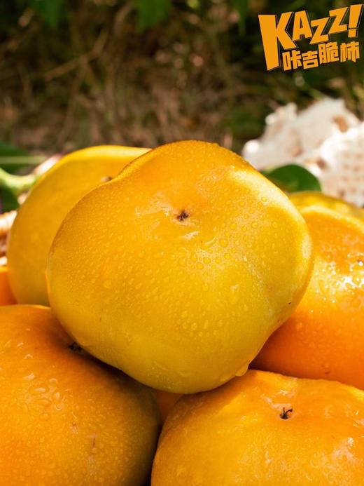 “嘎嘣”脆爽，香甜不涩！【咔吉脆柿】好吃不沾手 柿柿如意 好柿发生~ 商品图1