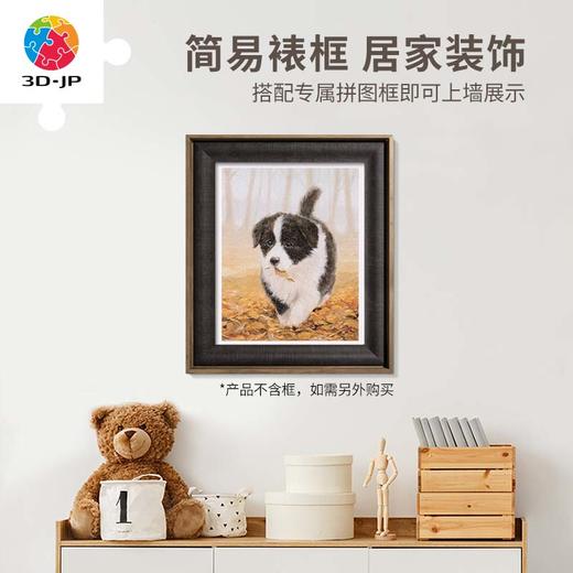 【折扣商品 不退不换】500片 平面拼图 塑料拼图H2802 John Silver-小淘气 商品图3