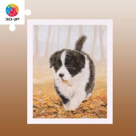 【折扣商品 不退不换】500片 平面拼图 塑料拼图H2802 John Silver-小淘气