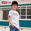 LEVIS 李维斯  夏 大童小童 短袖T恤 经典LOGO LVB-TE-C843 商品缩略图0