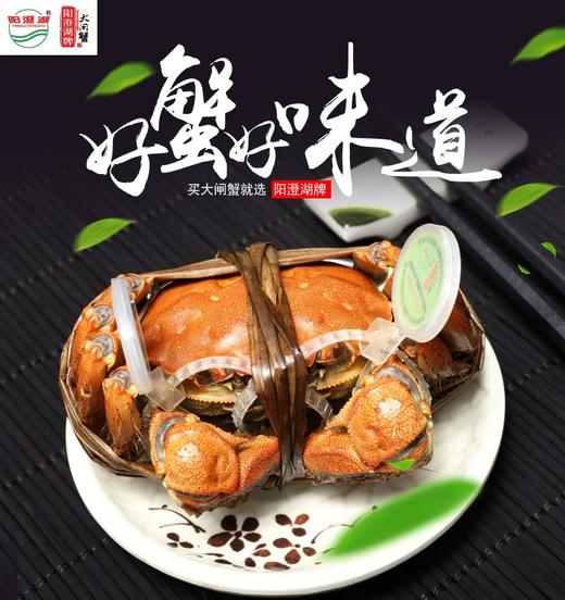 【礼券】阳澄湖牌大闸蟹668型春华秋实 3.0两公*4+2.0两母*4 商品图0