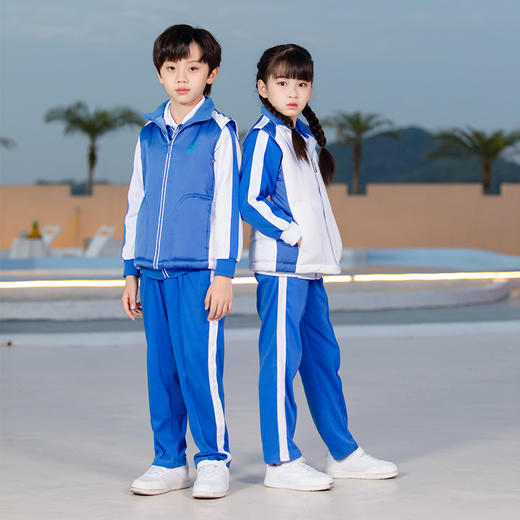 深圳校服小学生校服棉马甲背心优质摇粒绒（由于订单量大，部分缺货码数发东郊版，介意者慎拍） 商品图1