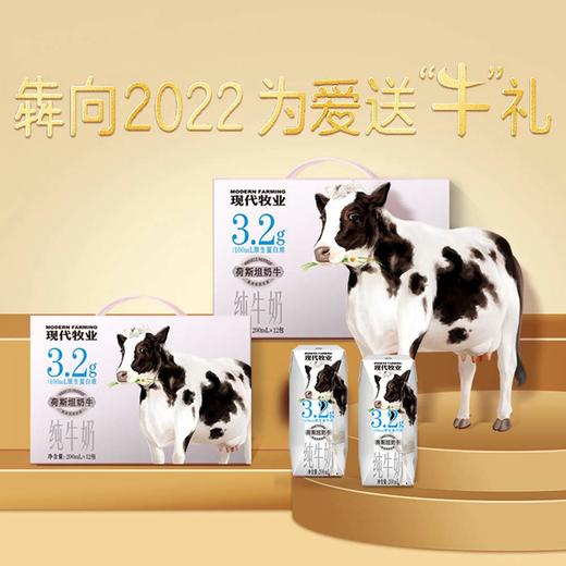 蒙牛现代牧业 纯牛奶 荷斯坦奶牛 200ml*12盒 商品图0