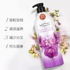 AEKYUNG爱敬KCS韩国进口丝滑蓬松香氛洗发水 600ml/瓶 商品缩略图1