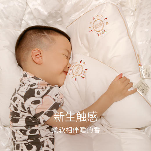 金三塔儿童桑蚕丝舒适透气 柔软亲肤蚕丝枕头新品    BBC006 商品图2