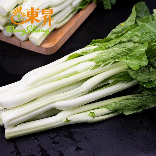 东升农场 秋香苔 白菜心 菜心新鲜 广东蔬菜300g 商品图2