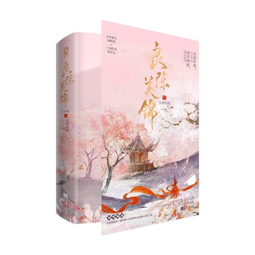 良陈美锦 新版 共二册 沉香灰烬 著 青春文学 商品图0