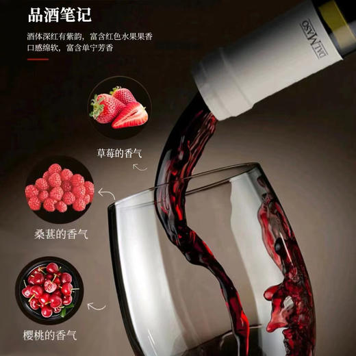 【达玛索干红葡萄酒】百年酒庄传统酿造 酒香馥郁经典干红葡萄酒 750ml 商品图2
