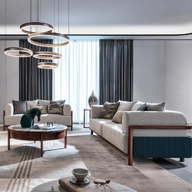 【现代风-CY202沙发】现代风/客厅/北美黑胡桃/实木&布艺 2+3沙发