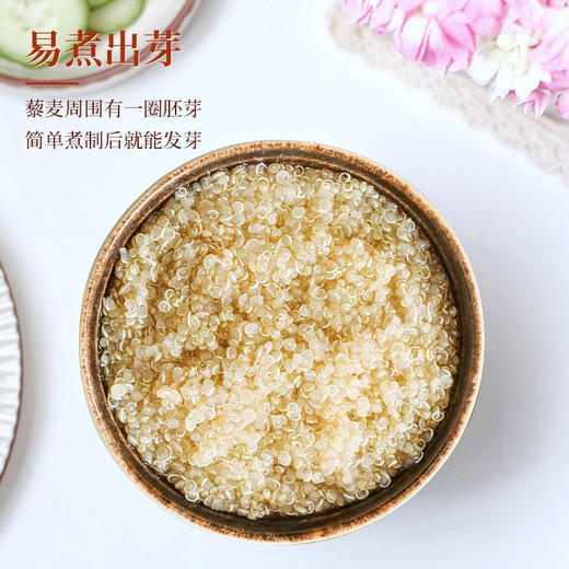 青海高原藜麦米 孕妇宝宝辅食粥 黄白藜麦五谷杂粮粗粮500g克 商品图3