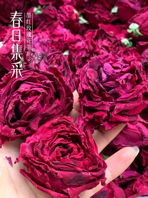 2025新花•云南大理头水墨红玫瑰，冻干技术基地直邮 商品图0