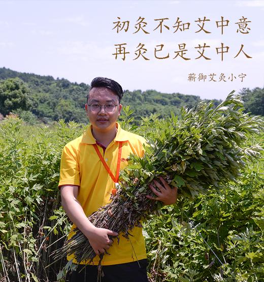 火龙督脉长蛇灸实操 商品图0