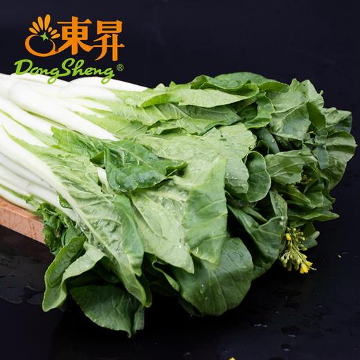 东升农场 秋香苔 白菜心 菜心新鲜 广东蔬菜300g 商品图4