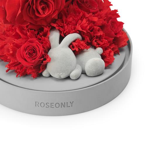 ROSEONLY诺誓  永生玫瑰 水晶之恋  幸福龙 幸福兔 幸福熊 玫瑰花玻璃钟罩礼盒 送女友爱人礼物 商品图3