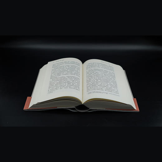 智性与激情：苏珊·桑塔格传 商品图4