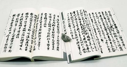 《道咸同光名人手札》，全2集，8厚册，16开，两函，林则徐等书，商务印书馆2017年版，定价2560元，售价998元。 商品图14